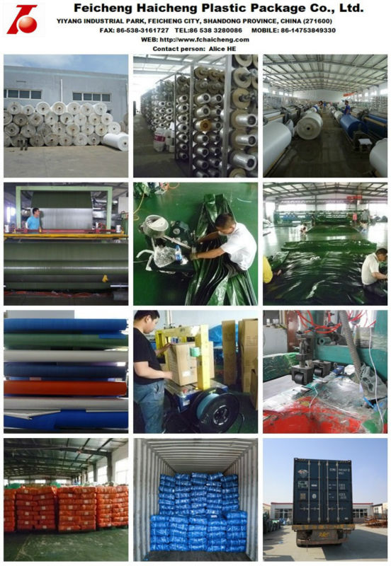 company info