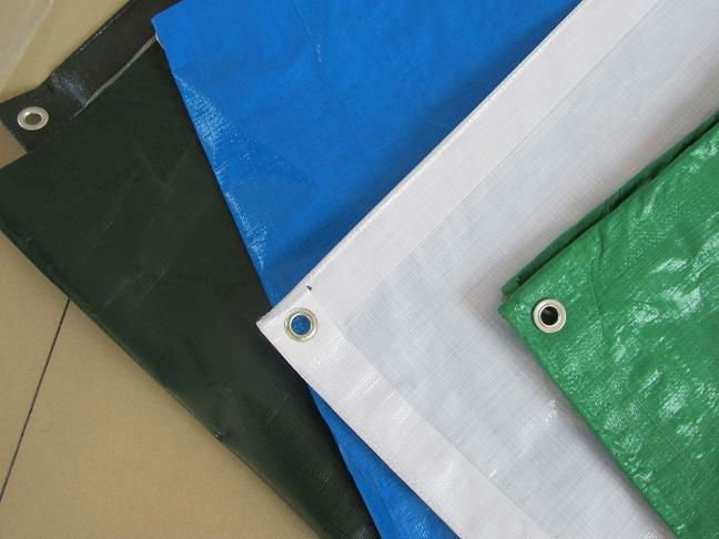 Heavy duty PE tarps for tree bag