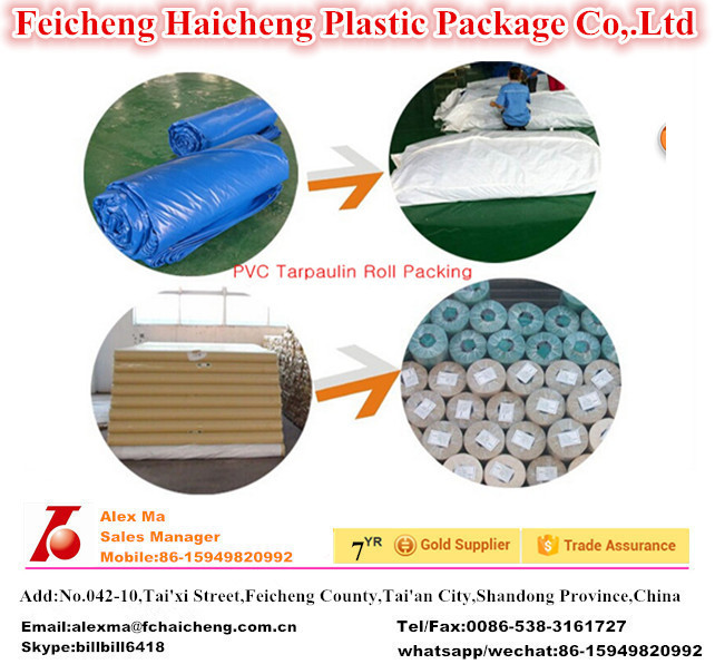 Pitted Surface Waterproof & Fire Retardant PVC Tarpaulin In Rolls for Truck Cover