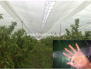 clear pe tarpaulin for cherry cover Chile