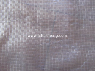 transparent pe fabric