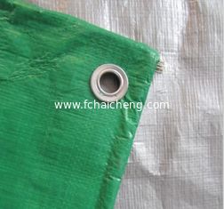 China 5 * 8m ,10 * 10mesh Tarpaulin fabric - Green/ Silver