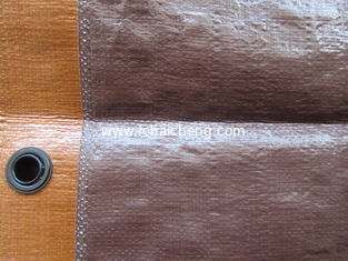 ready made pe tarpaulin fabric with eyelet reinforced
