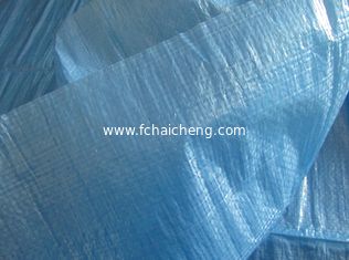 Thin Blue PE Tarpaulin Sheet for Yard Cover