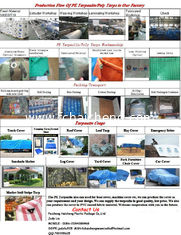 ready made pe tarpaulin with eyelet and reinforced corner