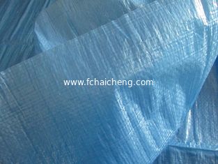 blue color/6x6 weave/50-60gsm pe tarpaulin