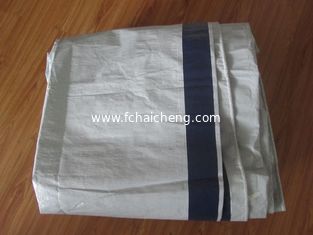 Reinforced Plastic Tarpaulin Sheet 4m x 5m