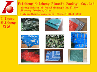 various printed pe tarpaulin used for ice rink,swimming pool cover