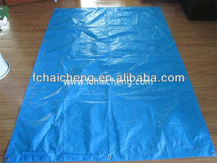 pe tarpaulin with rope and eyelet,various of colors plastic sheets