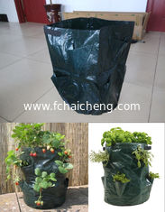 Reusable Herb Potato Strawberry Planting Planter Bags