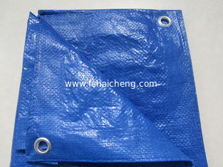 All Purpose Blue Poly Tarp