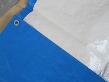 All kinds of sizes tarpaulin sheet,fabric tarpaulin used for truck cover