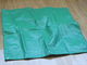 green colour pe tarpaulin,plastic canvas