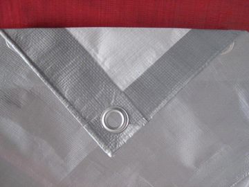 Reinforced Plastic Tarpaulin Sheet 4m x 5m