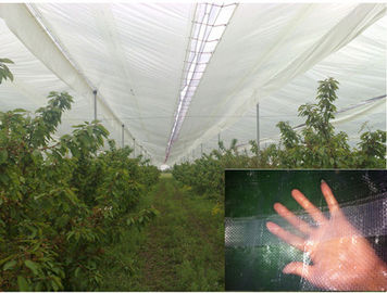 clear pe tarpaulin for cherry cover Chile