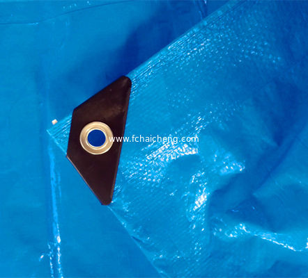 different weight thickness p.e.tarpaulin sheet and roll