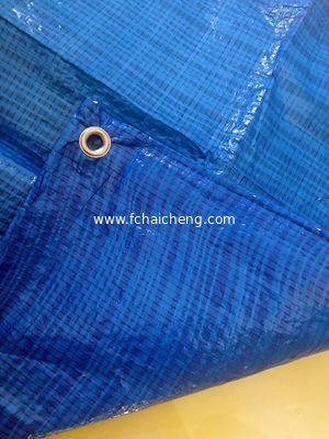 50gsm cheap price dark blue P.E. Tarpaulin Sheet for Middle East market