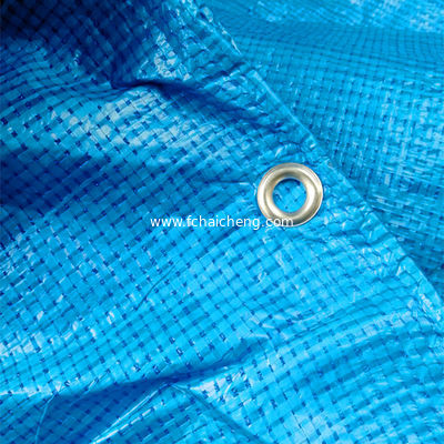 50gsm cheap price dark blue P.E. Tarpaulin Sheet for Middle East market