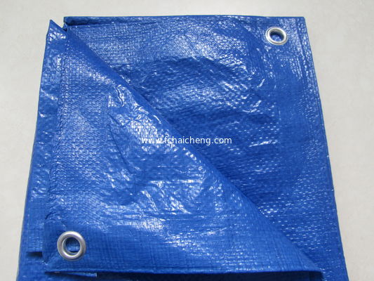 All Purpose Blue Poly Tarp