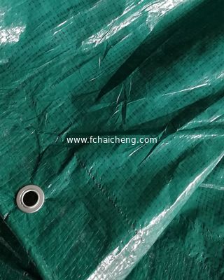 1.5x100m green color pe tarpaulin lona roll with aluminum eyelet for Argentina market