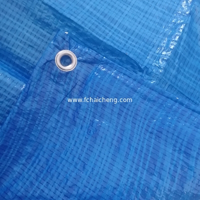 Brazilian market competitive price quality construction tools pe tarpaulin lona